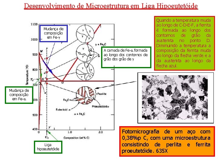 Desenvolvimento de Microestrutura em Liga Hipoeutetóide Mudança de composição em Fe- A camada de