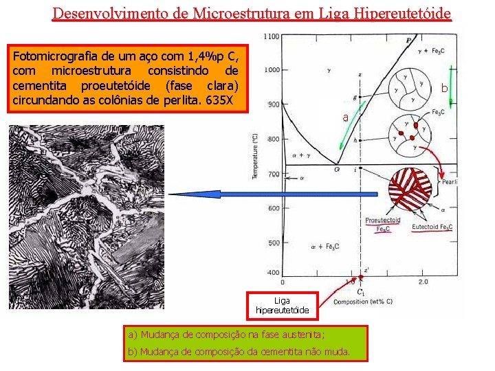 Desenvolvimento de Microestrutura em Liga Hipereutetóide Fotomicrografia de um aço com 1, 4%p C,