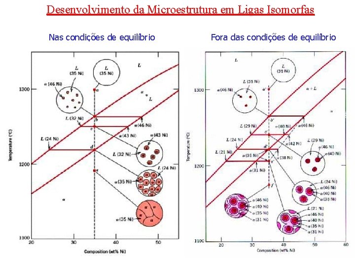 Desenvolvimento da Microestrutura em Ligas Isomorfas Nas condições de equilíbrio Fora das condições de