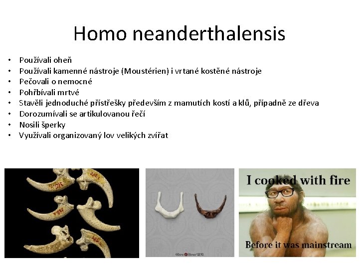 Homo neanderthalensis • • Používali oheň Používali kamenné nástroje (Moustérien) i vrtané kostěné nástroje