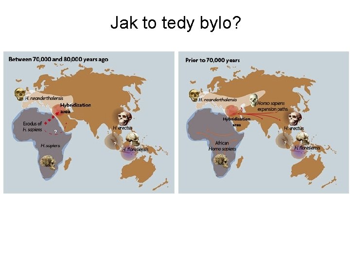 Jak to tedy bylo? 