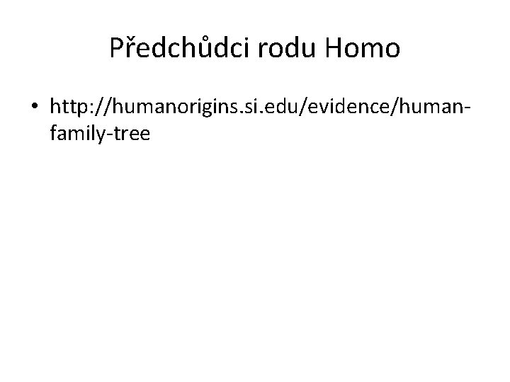 Předchůdci rodu Homo • http: //humanorigins. si. edu/evidence/humanfamily-tree 