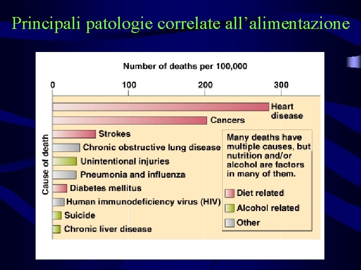 Principali patologie correlate all’alimentazione 