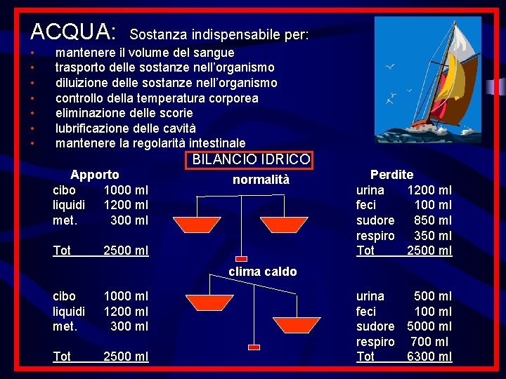 ACQUA: Sostanza indispensabile per: • • mantenere il volume del sangue trasporto delle sostanze