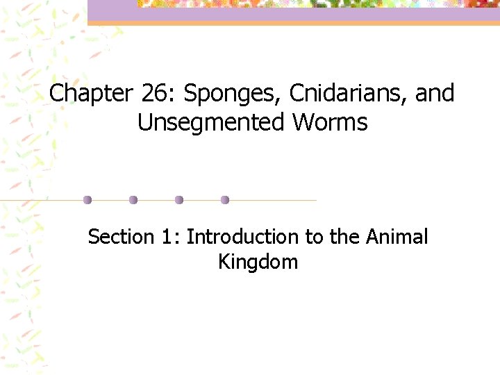 Chapter 26: Sponges, Cnidarians, and Unsegmented Worms Section 1: Introduction to the Animal Kingdom