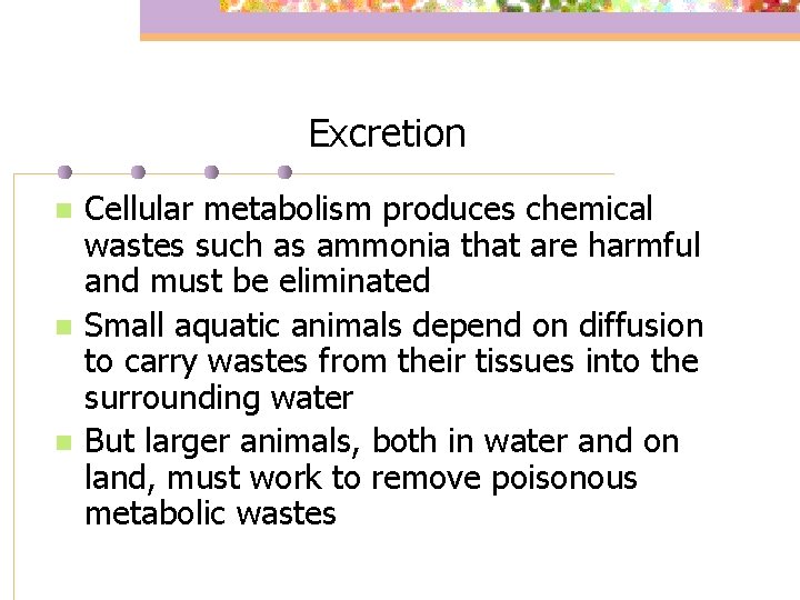 Excretion n Cellular metabolism produces chemical wastes such as ammonia that are harmful and