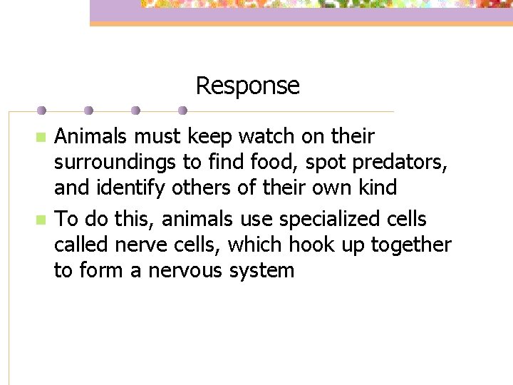 Response n n Animals must keep watch on their surroundings to find food, spot