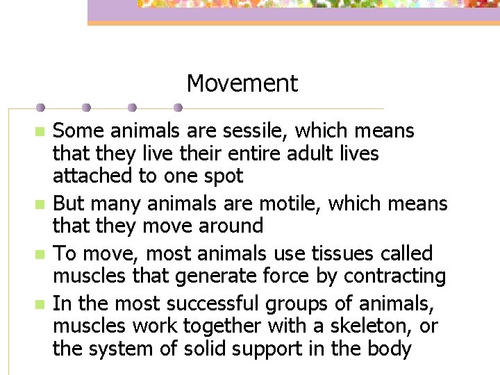 Movement n n Some animals are sessile, which means that they live their entire