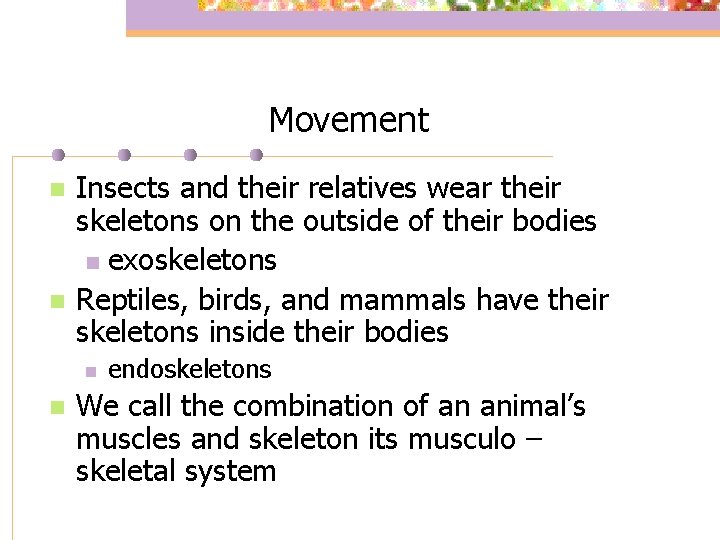 Movement n n Insects and their relatives wear their skeletons on the outside of