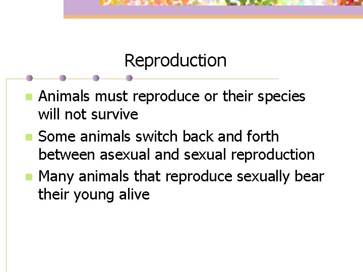 Reproduction n Animals must reproduce or their species will not survive Some animals switch