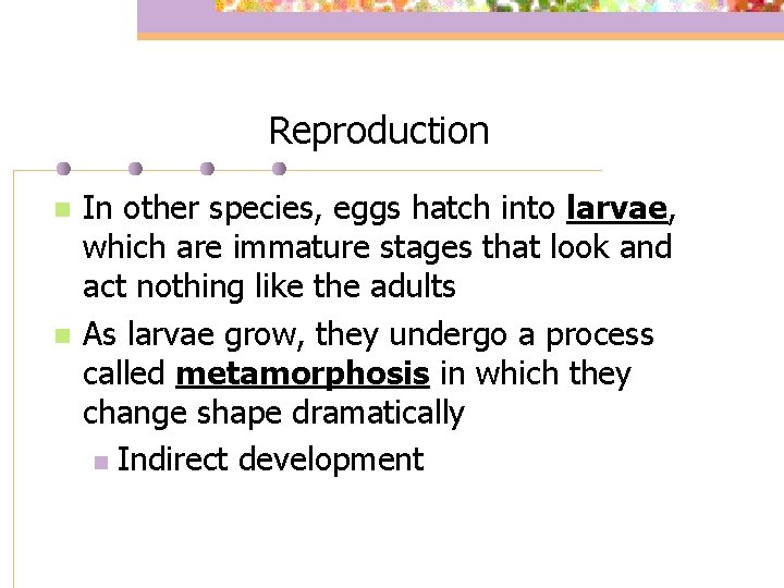 Reproduction n n In other species, eggs hatch into larvae, which are immature stages