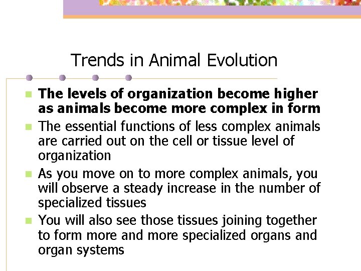 Trends in Animal Evolution n n The levels of organization become higher as animals