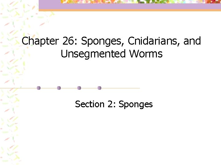 Chapter 26: Sponges, Cnidarians, and Unsegmented Worms Section 2: Sponges 