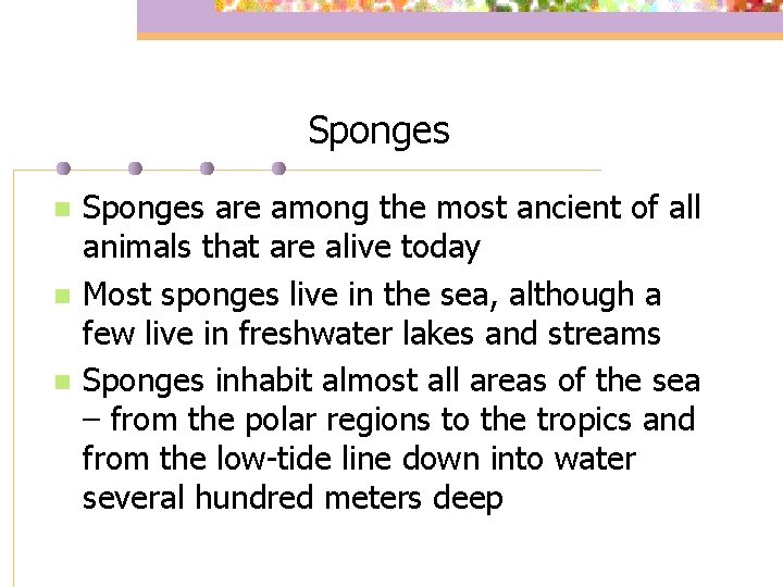 Sponges n n n Sponges are among the most ancient of all animals that