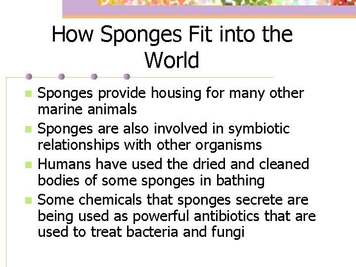 How Sponges Fit into the World n n Sponges provide housing for many other