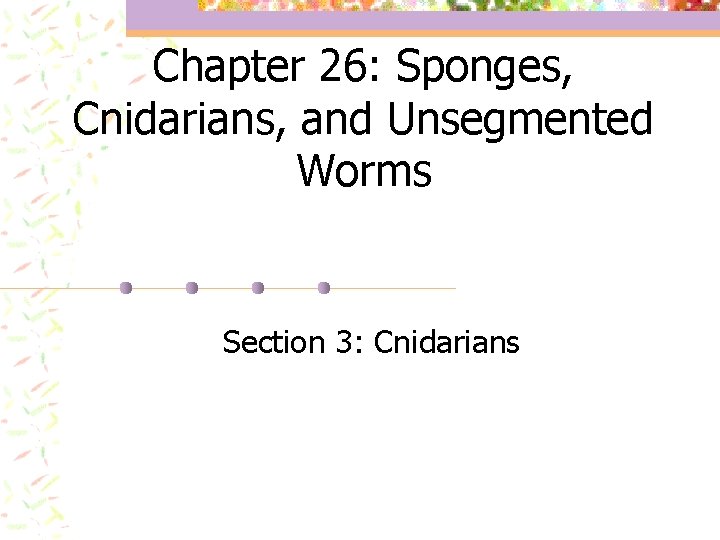 Chapter 26: Sponges, Cnidarians, and Unsegmented Worms Section 3: Cnidarians 