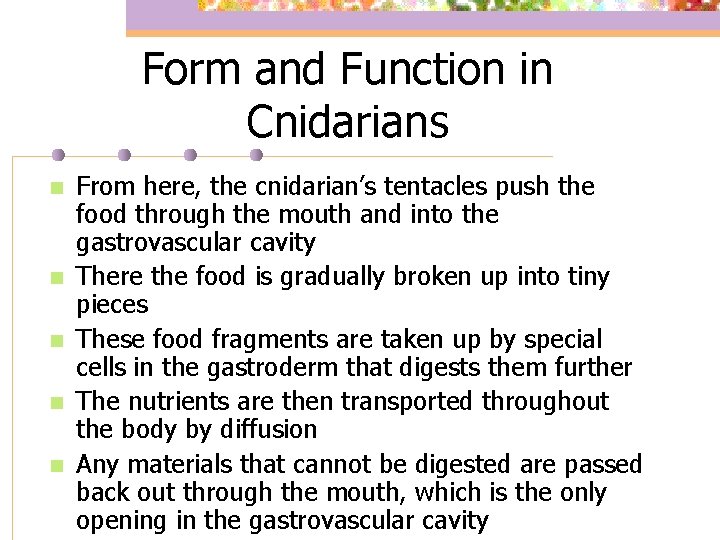 Form and Function in Cnidarians n n n From here, the cnidarian’s tentacles push