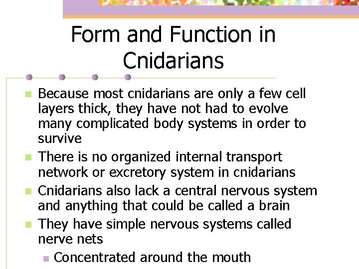 Form and Function in Cnidarians n n Because most cnidarians are only a few