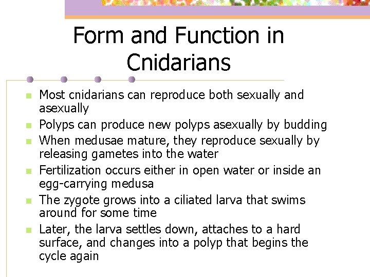 Form and Function in Cnidarians n n n Most cnidarians can reproduce both sexually