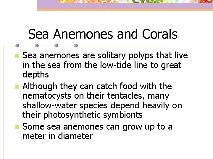 Sea Anemones and Corals n n n Sea anemones are solitary polyps that live