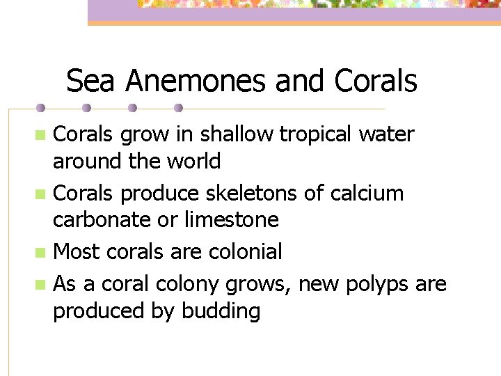 Sea Anemones and Corals grow in shallow tropical water around the world n Corals