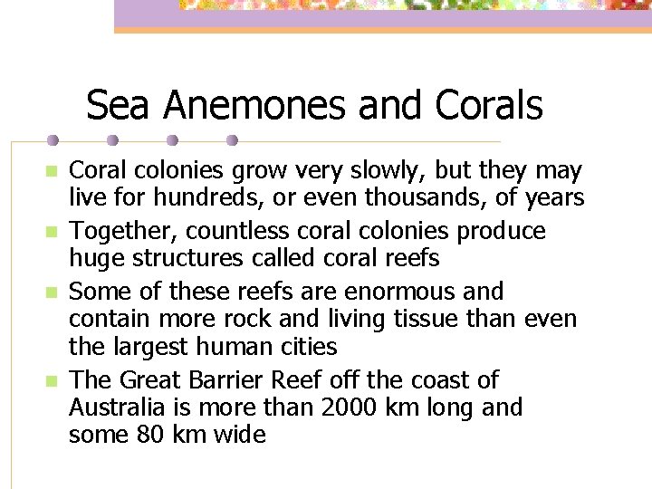 Sea Anemones and Corals n n Coral colonies grow very slowly, but they may