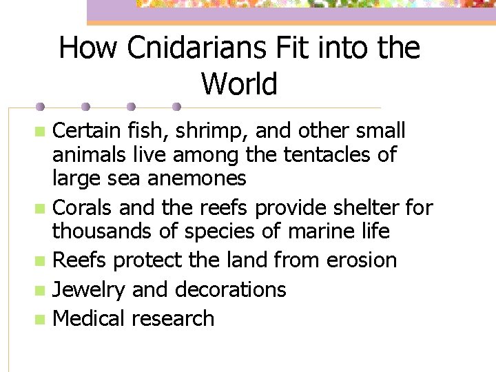 How Cnidarians Fit into the World Certain fish, shrimp, and other small animals live