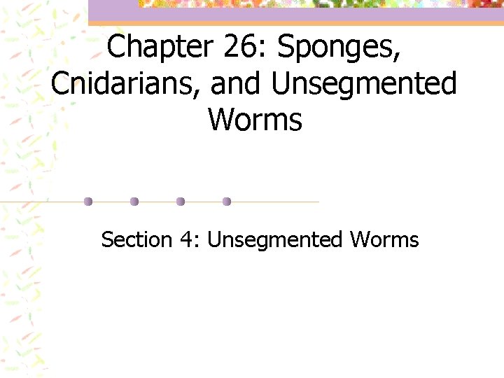 Chapter 26: Sponges, Cnidarians, and Unsegmented Worms Section 4: Unsegmented Worms 