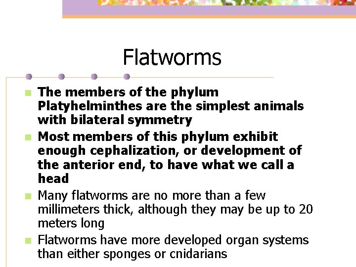 Flatworms n n The members of the phylum Platyhelminthes are the simplest animals with