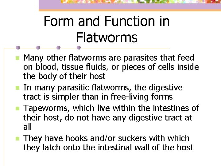 Form and Function in Flatworms n n Many other flatworms are parasites that feed