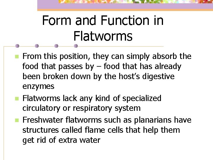 Form and Function in Flatworms n n n From this position, they can simply