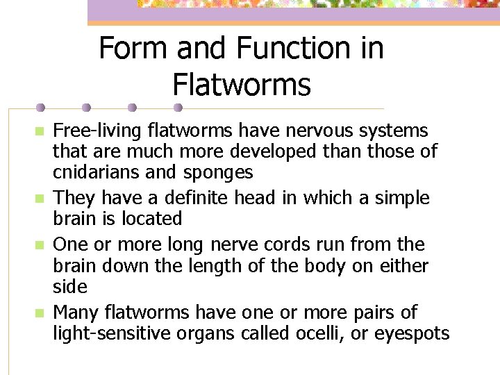 Form and Function in Flatworms n n Free-living flatworms have nervous systems that are