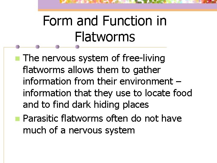 Form and Function in Flatworms The nervous system of free-living flatworms allows them to