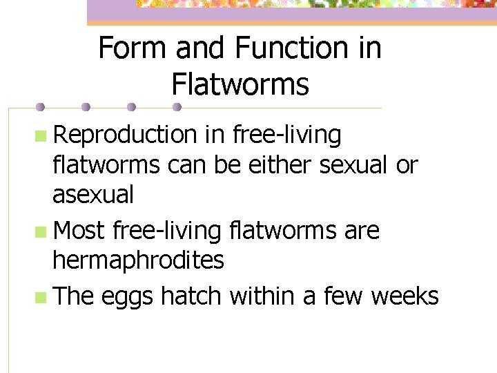 Form and Function in Flatworms n Reproduction in free-living flatworms can be either sexual