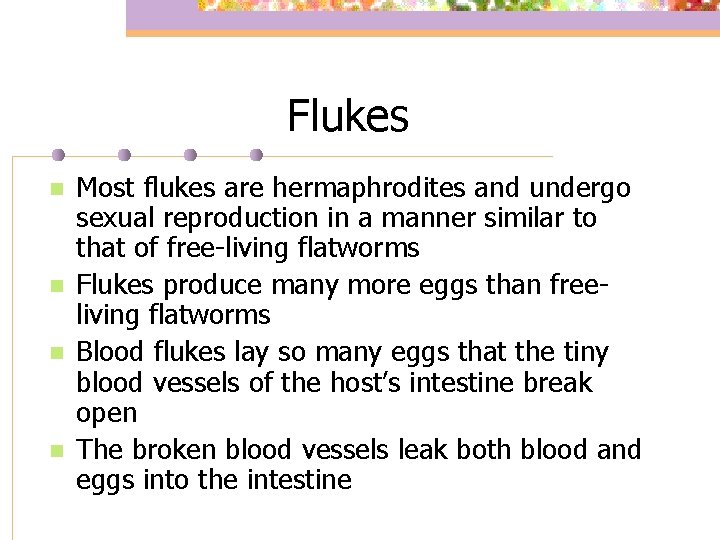 Flukes n n Most flukes are hermaphrodites and undergo sexual reproduction in a manner