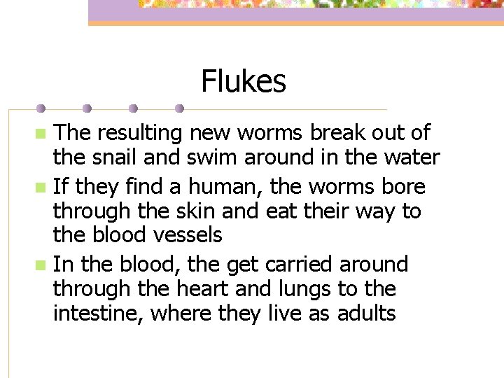 Flukes The resulting new worms break out of the snail and swim around in