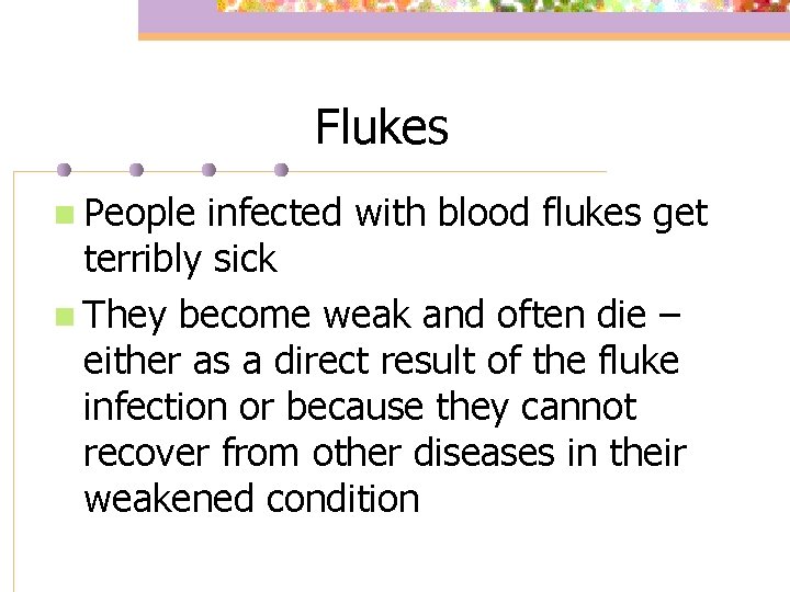 Flukes n People infected with blood flukes get terribly sick n They become weak