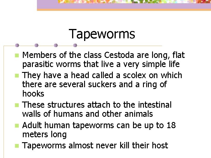 Tapeworms n n n Members of the class Cestoda are long, flat parasitic worms