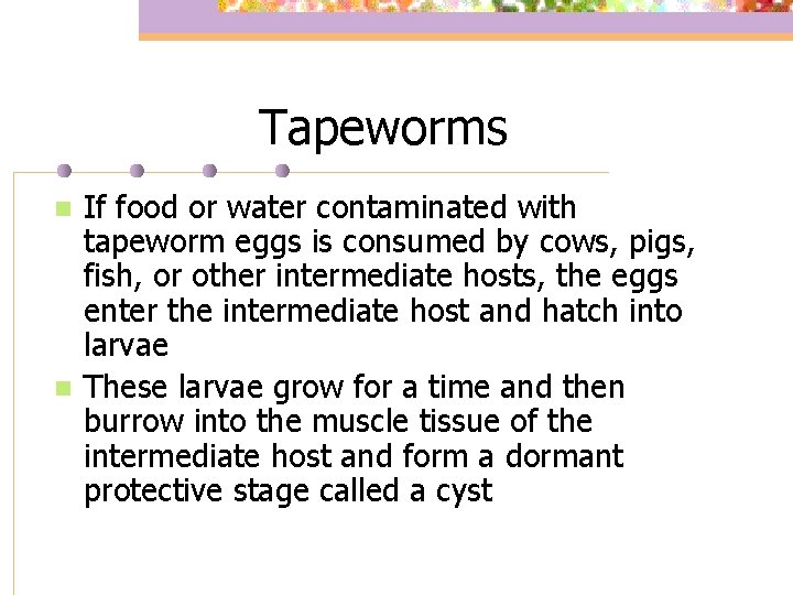 Tapeworms n n If food or water contaminated with tapeworm eggs is consumed by