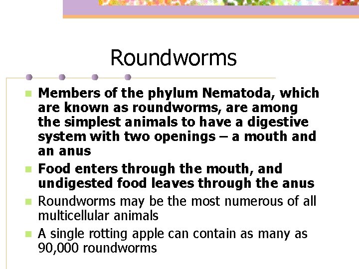 Roundworms n n Members of the phylum Nematoda, which are known as roundworms, are