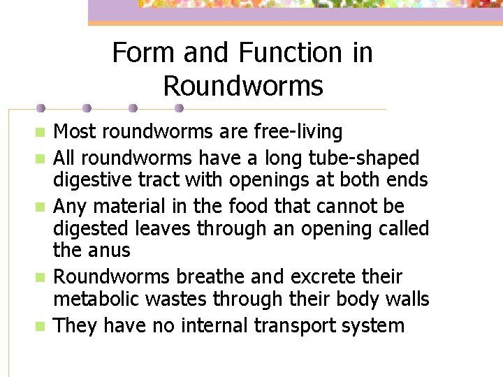 Form and Function in Roundworms n n n Most roundworms are free-living All roundworms