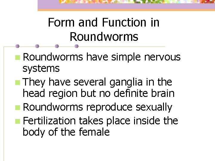 Form and Function in Roundworms have simple nervous systems n They have several ganglia