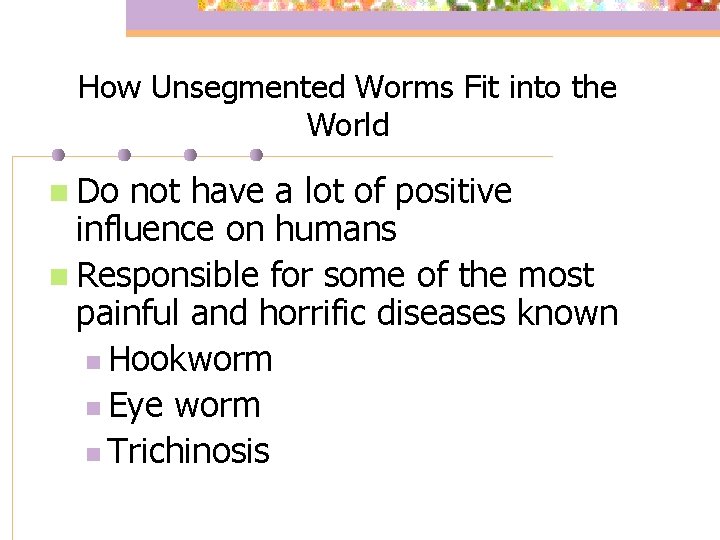 How Unsegmented Worms Fit into the World n Do not have a lot of