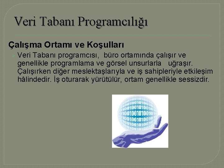 Veri Tabanı Programcılığı Çalışma Ortamı ve Koşulları Ø Veri Tabanı programcısı, büro ortamında çalışır