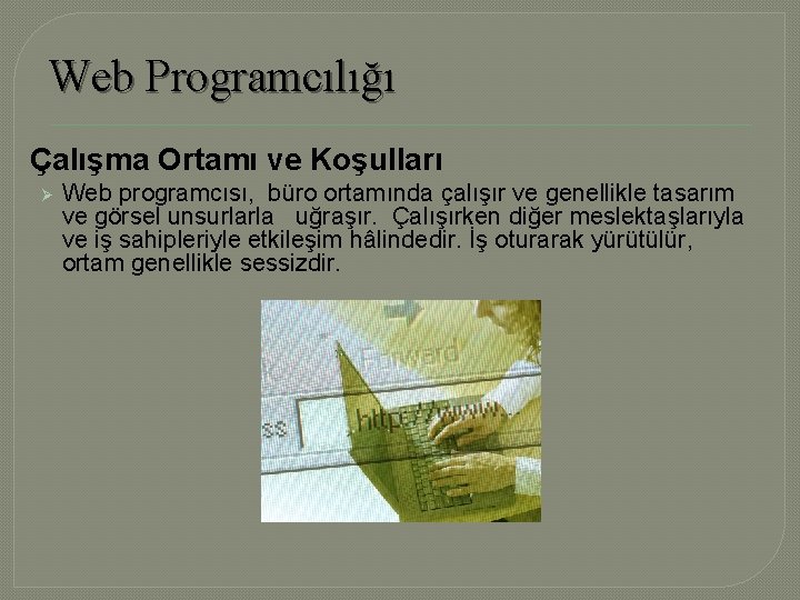 Web Programcılığı Çalışma Ortamı ve Koşulları Ø Web programcısı, büro ortamında çalışır ve genellikle