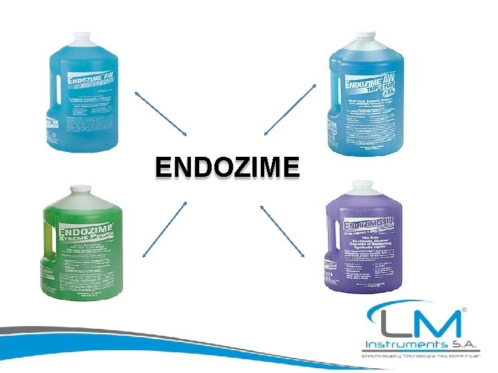 ENDOZIME 