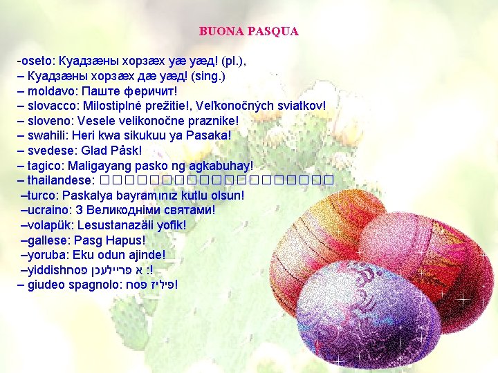 BUONA PASQUA -oseto: Куадзæны хорзæх уæ уæд! (pl. ), – Куадзæны хорзæх дæ уæд!