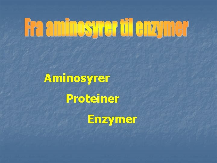 Aminosyrer Proteiner Enzymer 