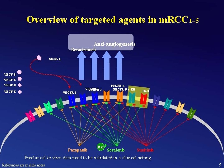 Overview of targeted agents in m. RCC 1– 5 Anti-angiogenesis Bevacizumab VEGF-A VEGF-B VEGF-C