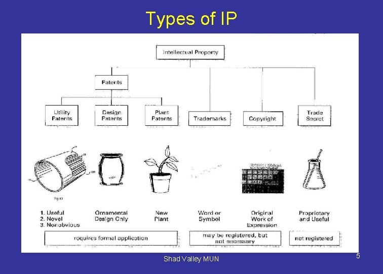 Types of IP Shad Valley MUN 5 